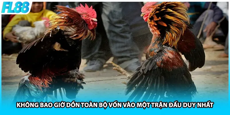 Không bao giờ dồn toàn bộ vốn vào một trận đấu duy nhất