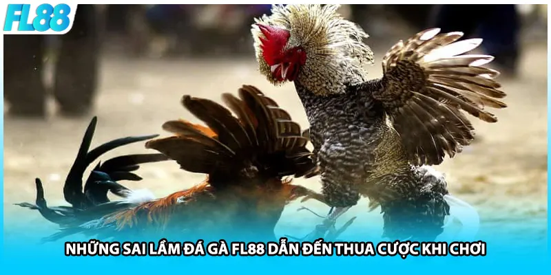 Những sai lầm đá gà FL88 dẫn đến thua cược khi chơi